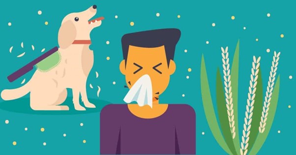 Understanding the Causes and Treatments of Voice Disorders